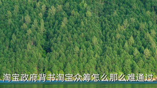 政府背書，淘寶政府背書淘寶眾籌怎么那么難通過