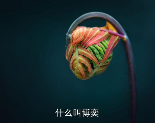 博弈思維，博弈論 的理論基礎(chǔ)是 什么