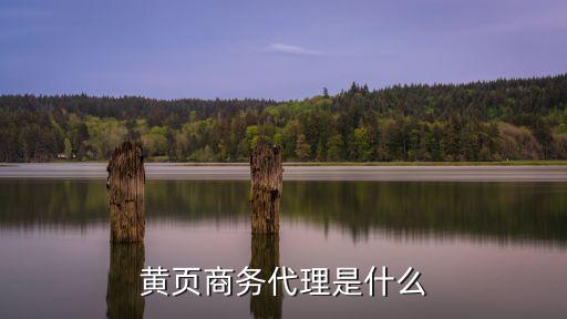 黃頁商務代理是什么