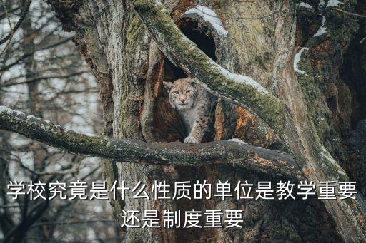 學(xué)校究竟是什么性質(zhì)的單位是教學(xué)重要還是制度重要
