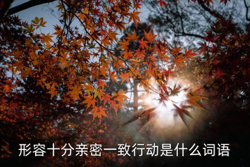 形容十分親密一致行動是什么詞語