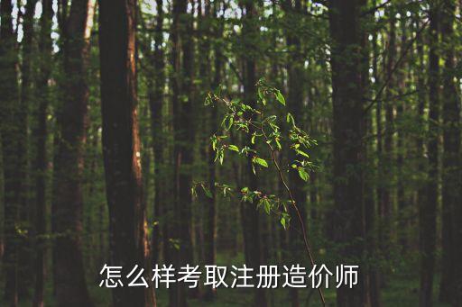 怎么樣考取注冊造價師