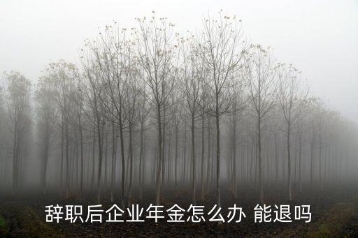 企業(yè)年金辭職了怎么辦，辭職后企業(yè)年金怎么辦 能退嗎