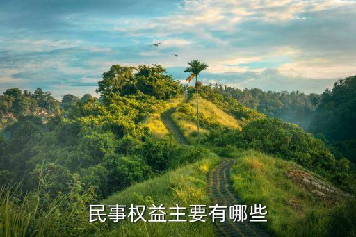 民事權(quán)利包括哪些，民事權(quán)益主要有哪些