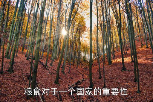 糧食的重要性，糧食對于一個國家的重要性