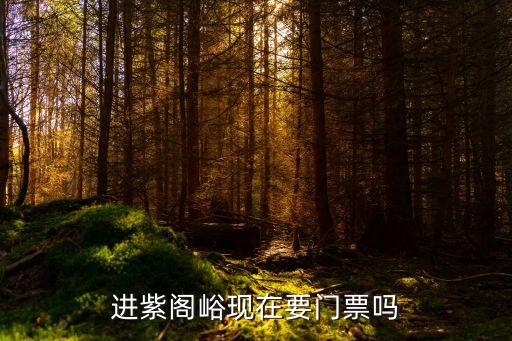 紫閣峪，現(xiàn)在進(jìn)紫閣峪要門票嗎