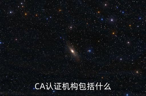 CA認(rèn)證機(jī)構(gòu)包括什么