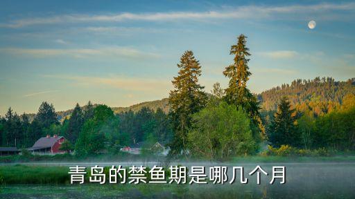 青島的禁魚(yú)期是哪幾個(gè)月