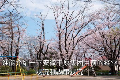 豐原集團(tuán)，安徽省蚌埔市豐原集團(tuán)怎么樣是生產(chǎn)什么的