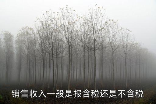 銷售收入一般是報含稅還是不含稅