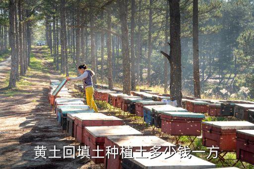 黃土回填土種植土多少錢一方