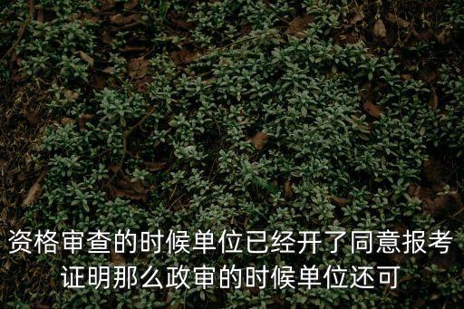 資格審查的時候單位已經(jīng)開了同意報考證明那么政審的時候單位還可