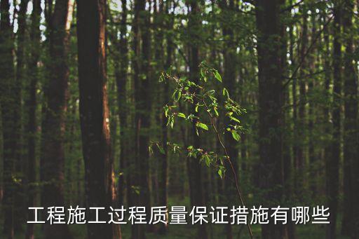 工程質(zhì)量保證，工程建設(shè)質(zhì)量保證概念