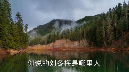 你說的劉冬梅是哪里人