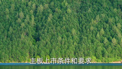 主板上市條件和要求