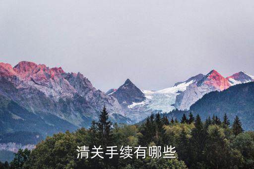 清關(guān)流程，海關(guān)清關(guān)流程是什么