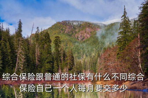 綜合保險跟普通的社保有什么不同綜合保險自己一個人每月要交多少