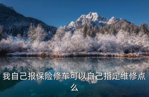 我自己報保險修車可以自己指定維修點么