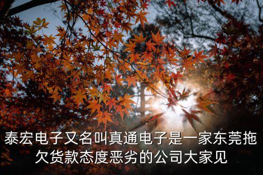 泰宏電子又名叫真通電子是一家東莞拖欠貨款態(tài)度惡劣的公司大家見(jiàn)