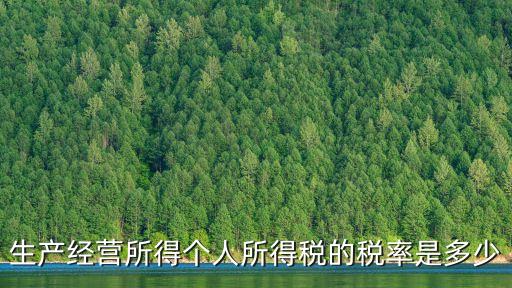 個(gè)人生產(chǎn)經(jīng)營所得，生產(chǎn)經(jīng)營所得個(gè)人所得稅的稅率是多少