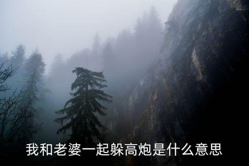我和老婆一起躲高炮是什么意思