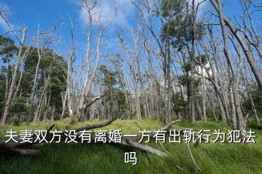 出軌犯法嗎，外遇犯法么
