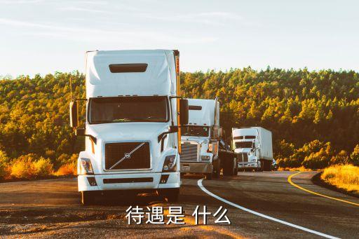 待遇，待遇的意思
