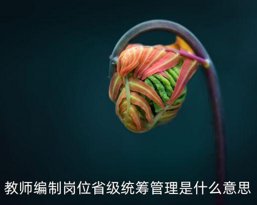 教師編制崗位省級統(tǒng)籌管理是什么意思