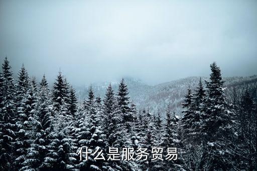 服務(wù)貿(mào)易，WTO關(guān)于服務(wù)貿(mào)易的定義是什么