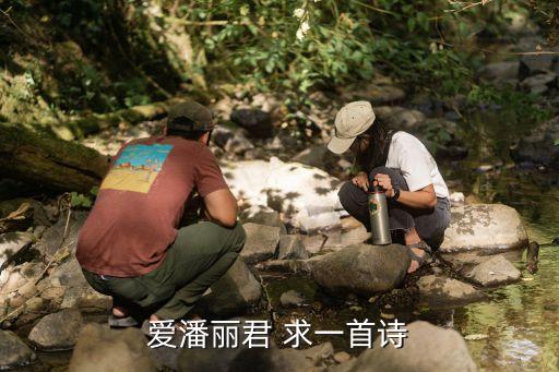 潘麗君，急求祝潘麗君新婚快樂藏頭詩