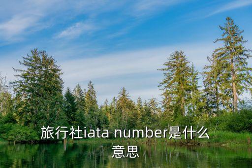 旅行社iata number是什么意思
