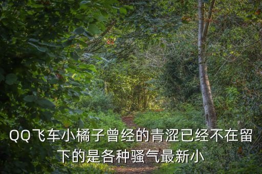 QQ飛車小橘子曾經的青澀已經不在留下的是各種騷氣最新小
