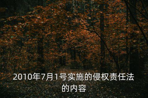2010年7月1號(hào)實(shí)施的侵權(quán)責(zé)任法的內(nèi)容