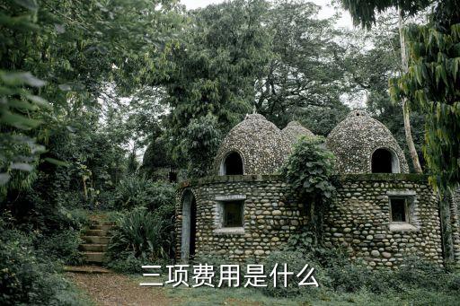 三項費用，三項費用是什么