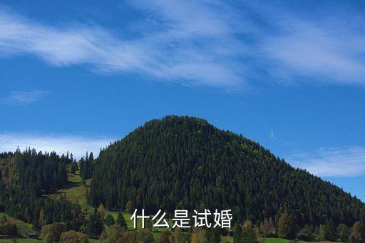 試婚是什么意思啊，試婚什么意思