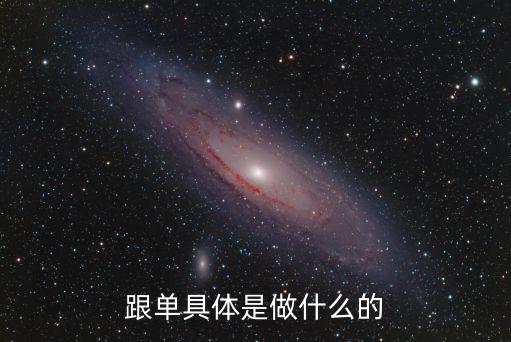 跟單，跟單是做什么的跟單要做哪些事情