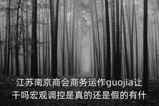 江蘇南京商會(huì)商務(wù)運(yùn)作guojia讓干嗎宏觀調(diào)控是真的還是假的有什