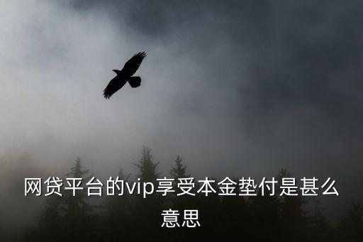 網(wǎng)貸平臺的vip享受本金墊付是甚么意思