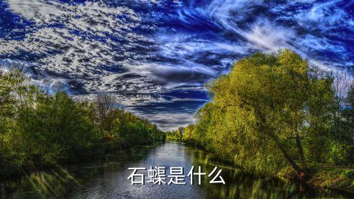 石蟝是什么