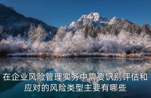 在企業(yè)風險管理實務中需要識別評估和應對的風險類型主要有哪些