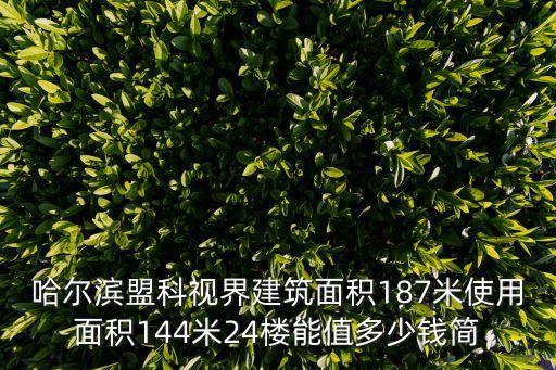 哈爾濱盟科視界建筑面積187米使用面積144米24樓能值多少錢簡