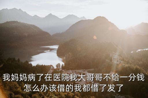 我媽媽病了在醫(yī)院我大哥哥不給一分錢怎么辦該借的我都借了發(fā)了