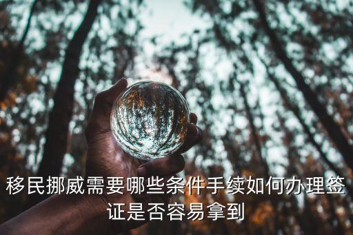 移民挪威需要哪些條件手續(xù)如何辦理簽證是否容易拿到