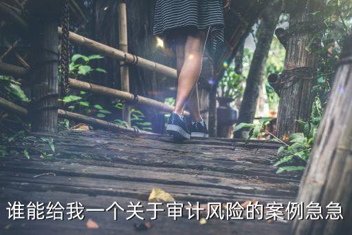 誰能給我一個關于審計風險的案例急急
