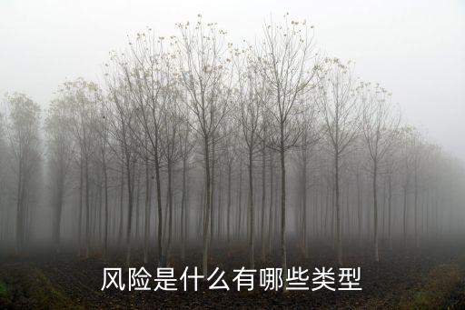 風(fēng)險是什么有哪些類型