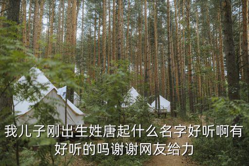 唐逸剛，我兒子剛出生姓唐起什么名字好聽啊有好聽的嗎謝謝網(wǎng)友給力