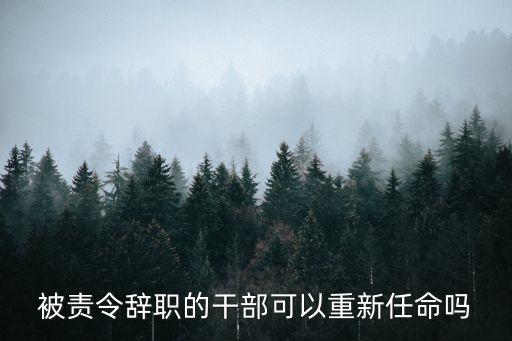 被責(zé)令辭職的干部可以重新任命嗎