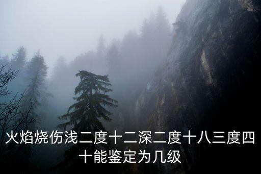 燒傷等級，火焰燒傷淺二度十二深二度十八三度四十能鑒定為幾級