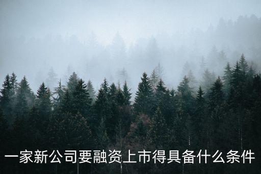 一家新公司要融資上市得具備什么條件