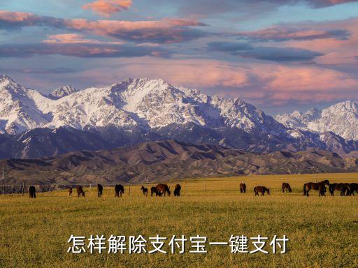 怎樣解除支付寶一鍵支付